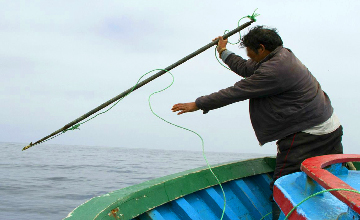 Peru throwing harpoon