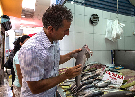 Baby sharks at market